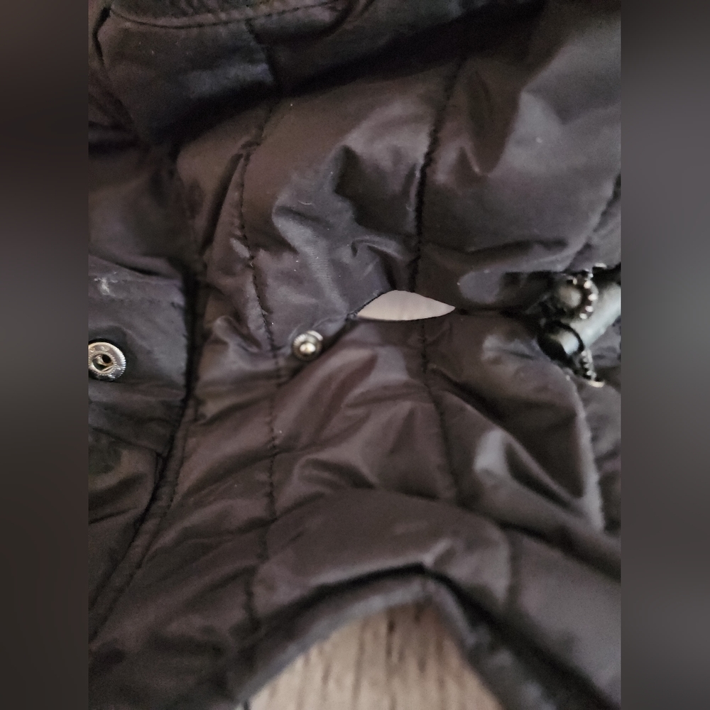 Dog Jacket - Small - Picture 8 of 10